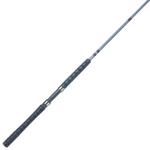 Pflueger President® Spinning Rod